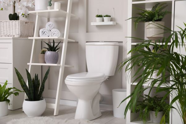 Cost of Toilet Repair in St Louis