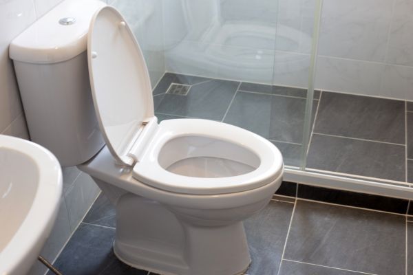 Toilet Replacement in St Louis