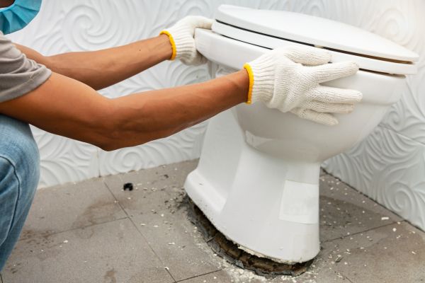Cost of Toilet Removal in St Louis